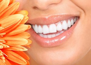 7038204 - beautiful woman smile, teeth and a fresh flower
